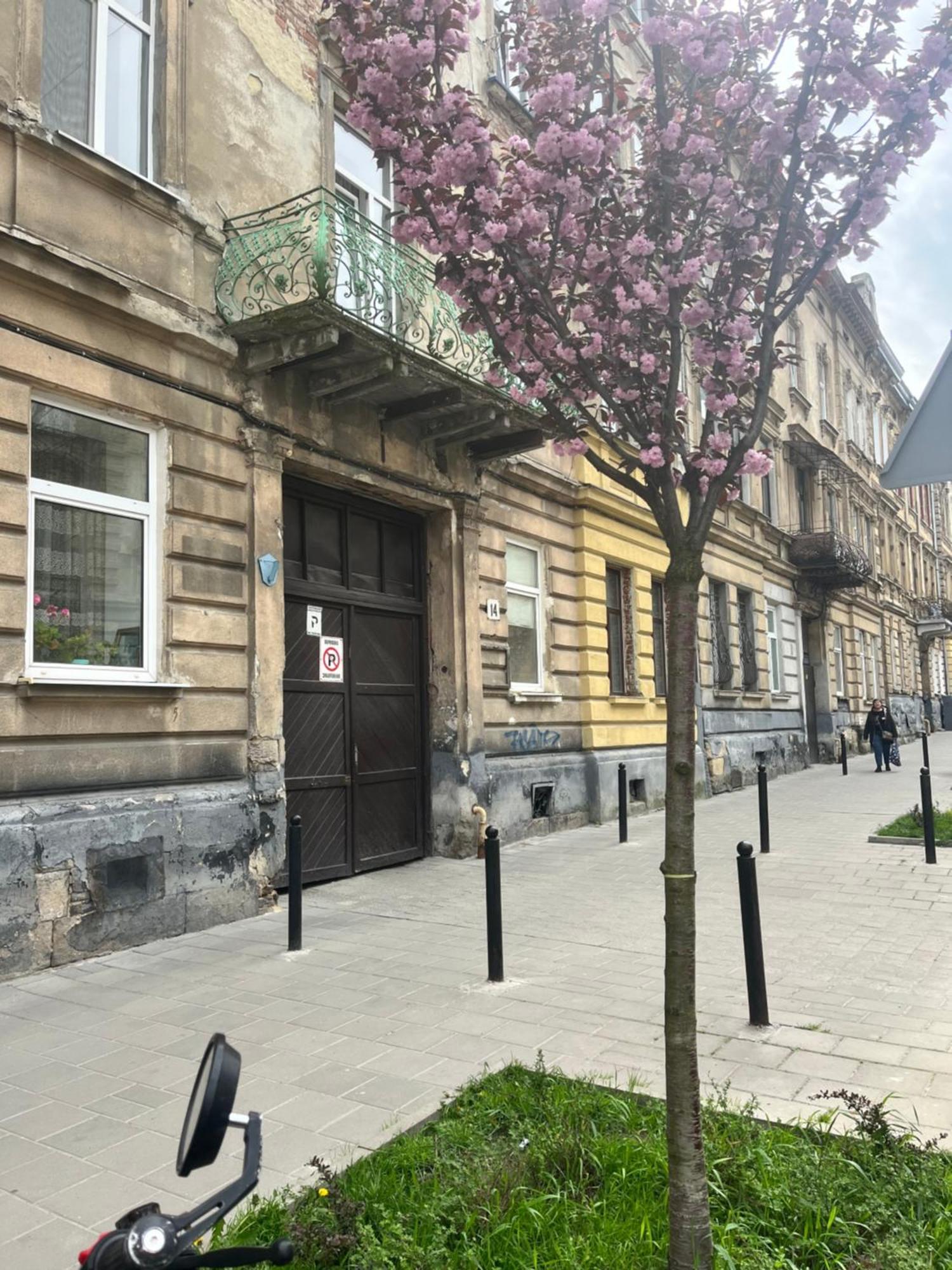 Medova Apartments Lviv Exteriör bild